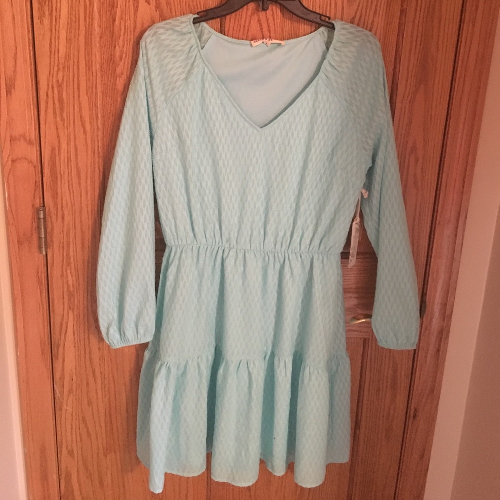 Long sleeve blue dress, NWT!