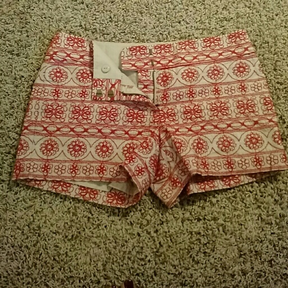 LOFT Pants - Embroidered Loft Shorts