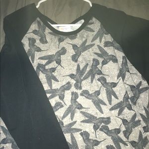 3xl hummingbird Randy