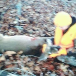 Meet your Posher, Colton