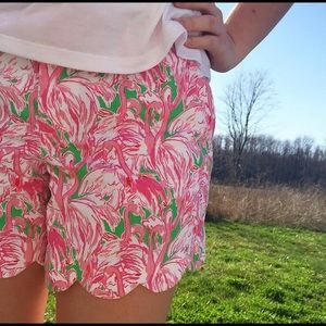 Prep Green Pink Colony Buttercup Shorts 💕