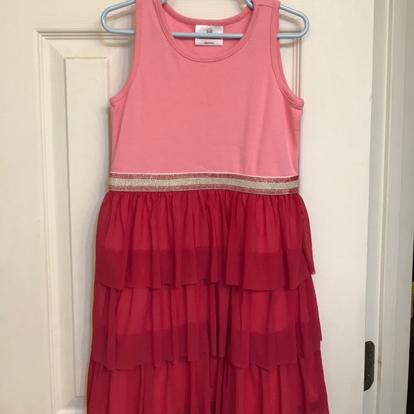 Hanna Andersson Other - Hanna Andersson tulle skirt dress