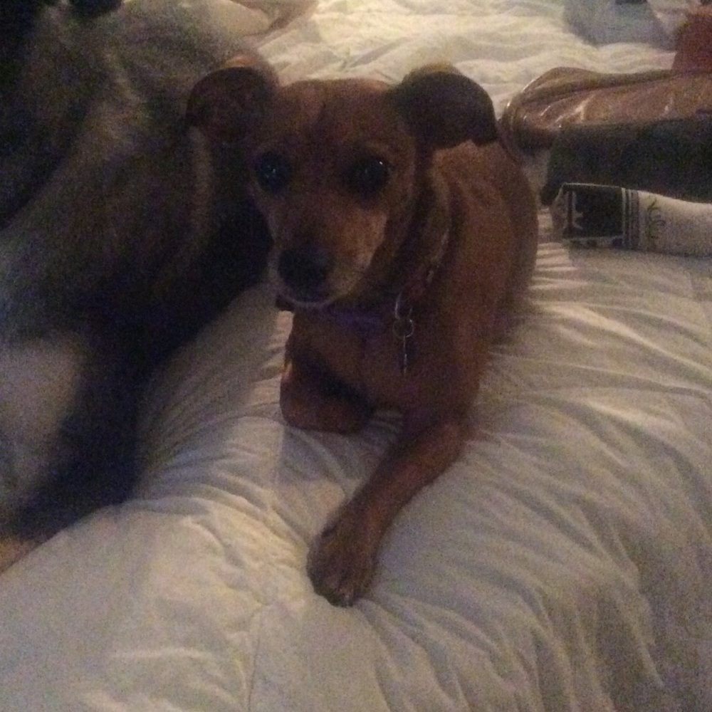 Meet your Posher, Ash