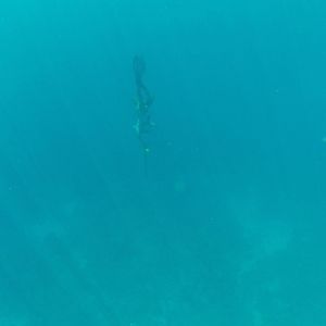 Meet your Posher, Darin