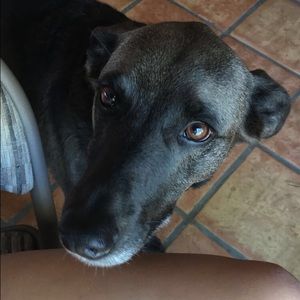 Meet your Posher, Sam