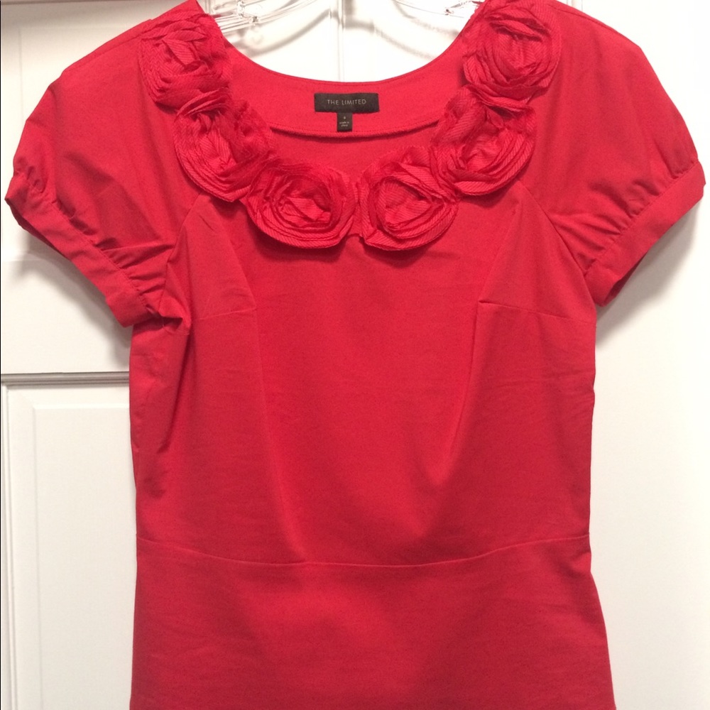 🌹 Rosette Top - (Small) The Limited 🌹