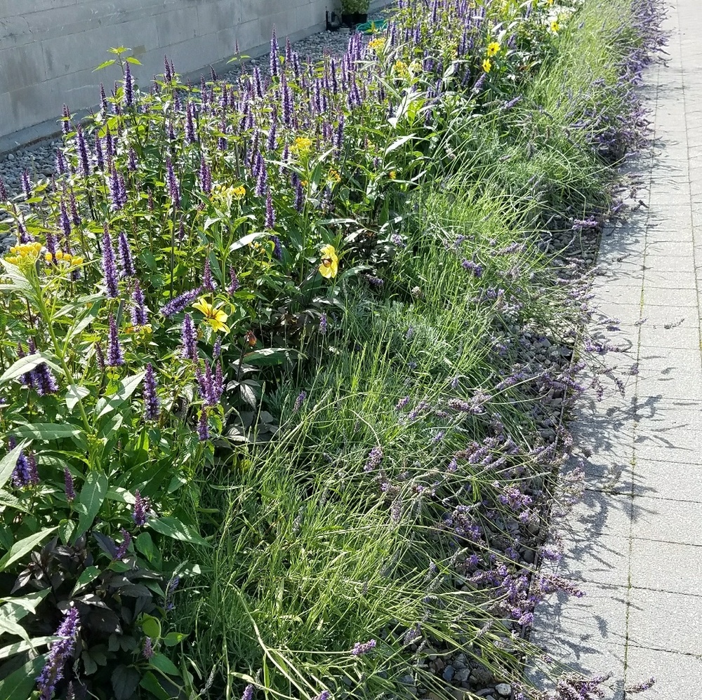 Meet your Posher, Karyn