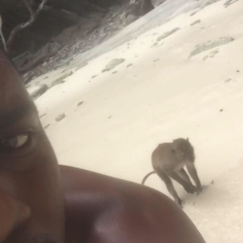 Meet your Posher, Mike