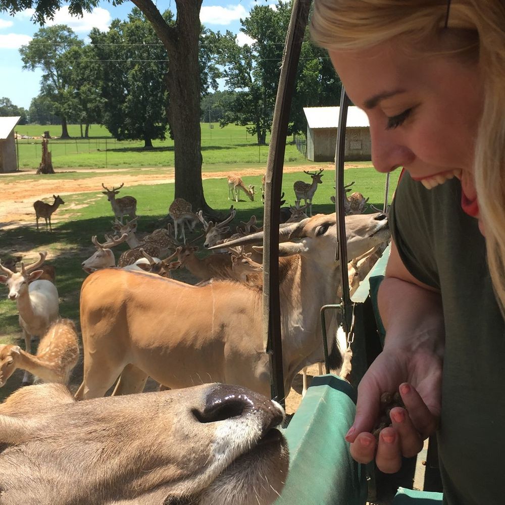 Meet your Posher, Ashley