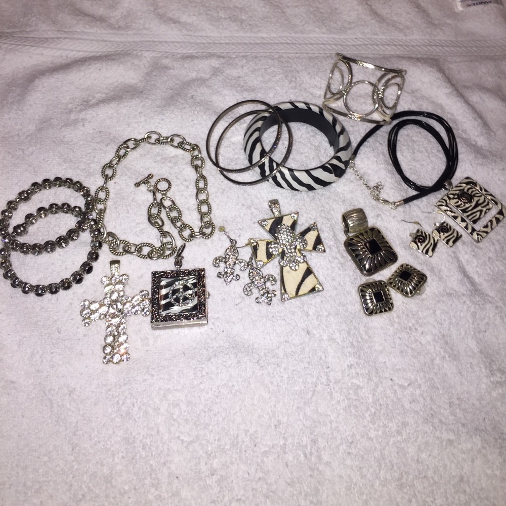 Zebra Silver Bling jewelry set