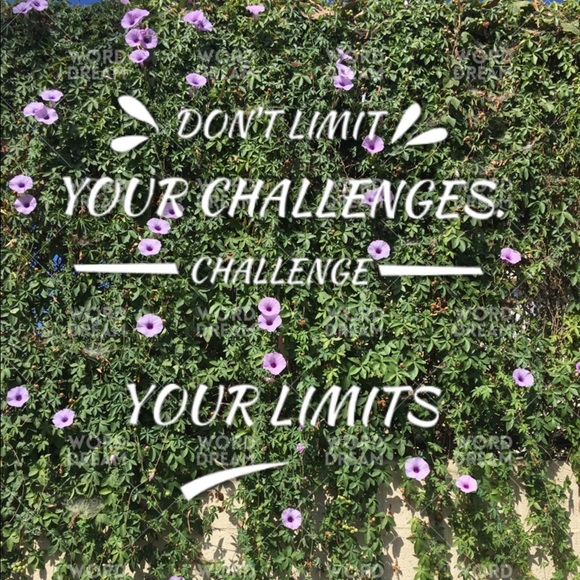 Meet your Posher, Beverly - Picture 6 of 8