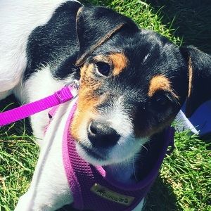 Meet your Posher, Renee