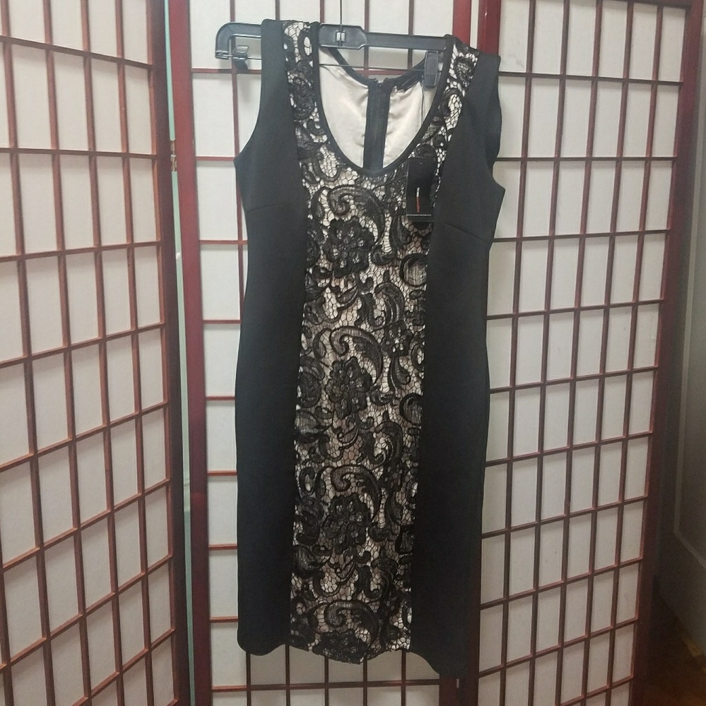 BCBG lace colorblock lace dress