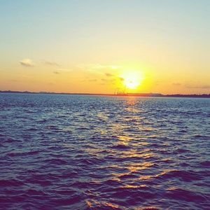 Meet your Posher, May