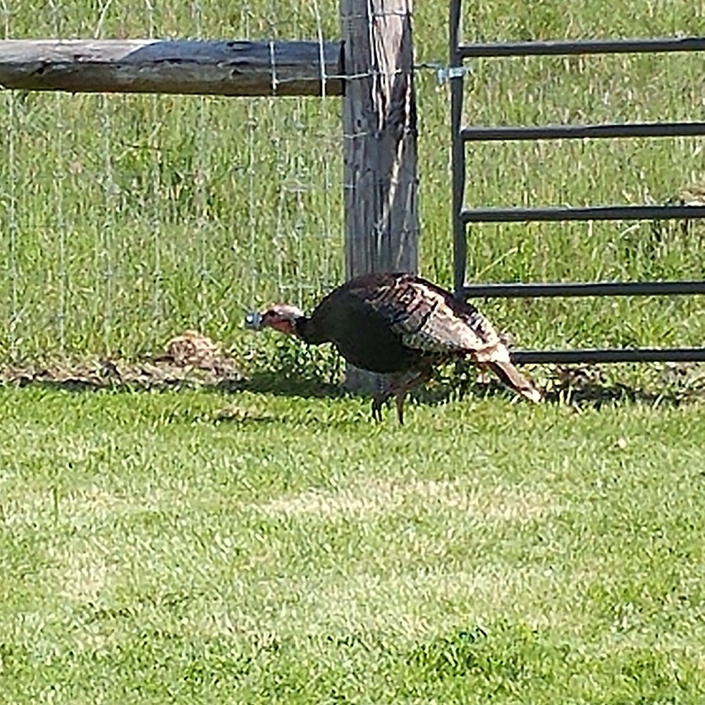 Meet your Posher, Gregg