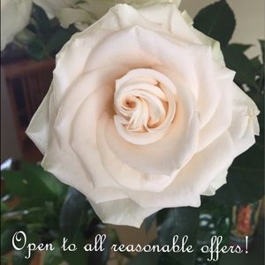 All reasonable offers considered😄