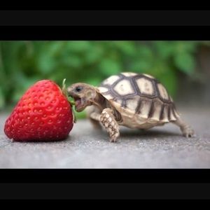 Meet your Posher, Patricia