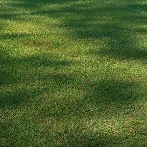 Meet your Posher, Angel