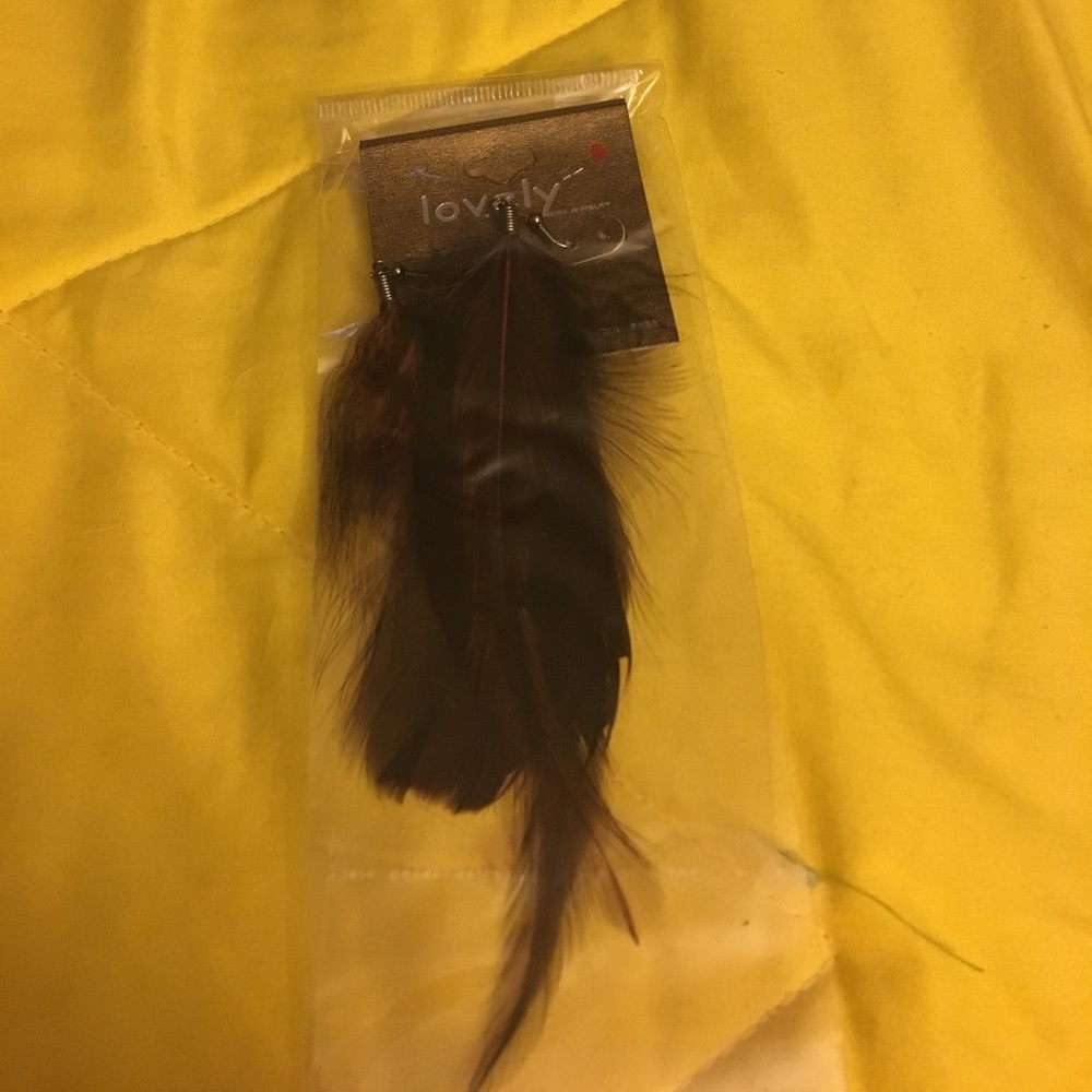 Brown Feather earrings