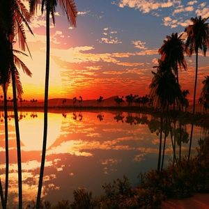 Meet your Posher, Brook