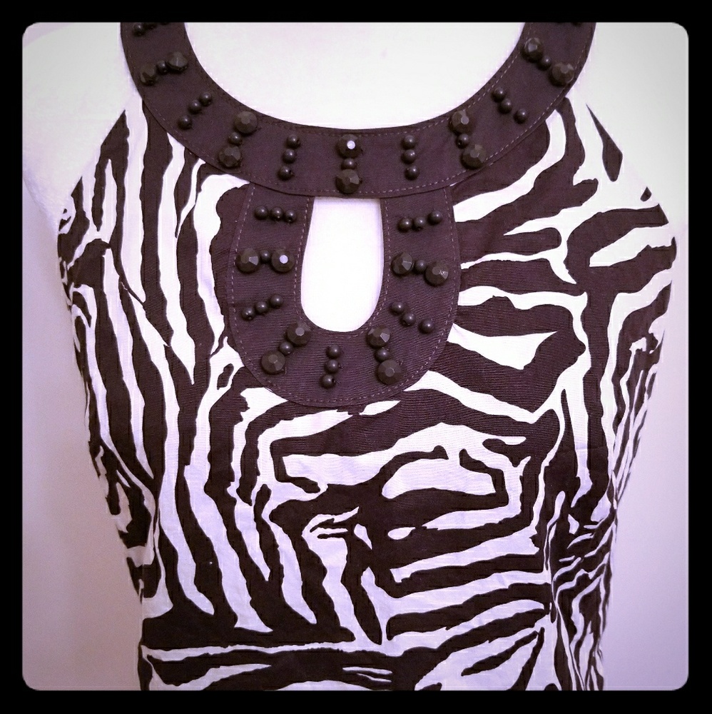 Stunning Ann Taylor Loft Animal Print Dress Size 6