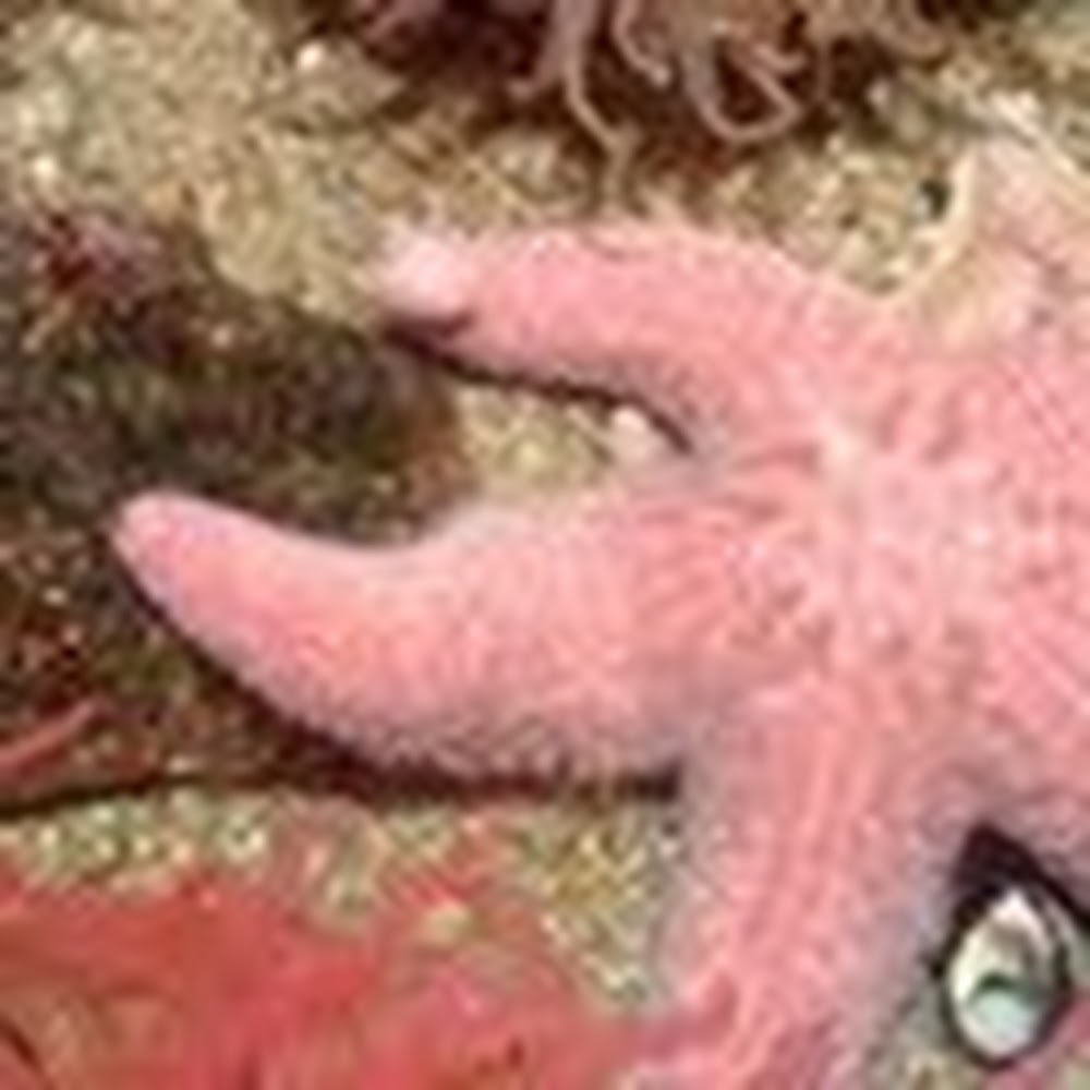 Meet your Posher, Lisa