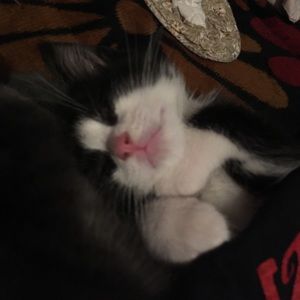 I NEED Everything Gone 👏🏼plz