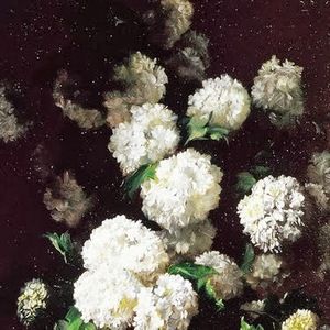 Meet your Posher, Winter