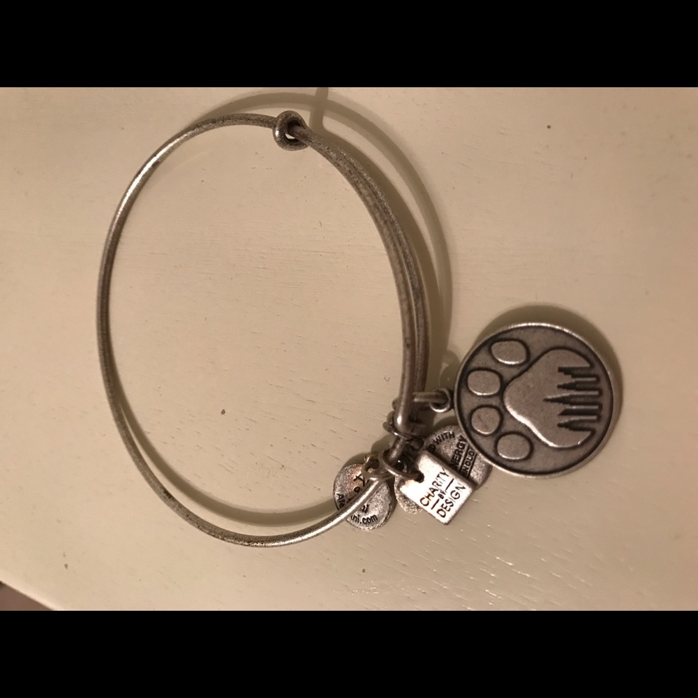 Alex and Ani bracelet