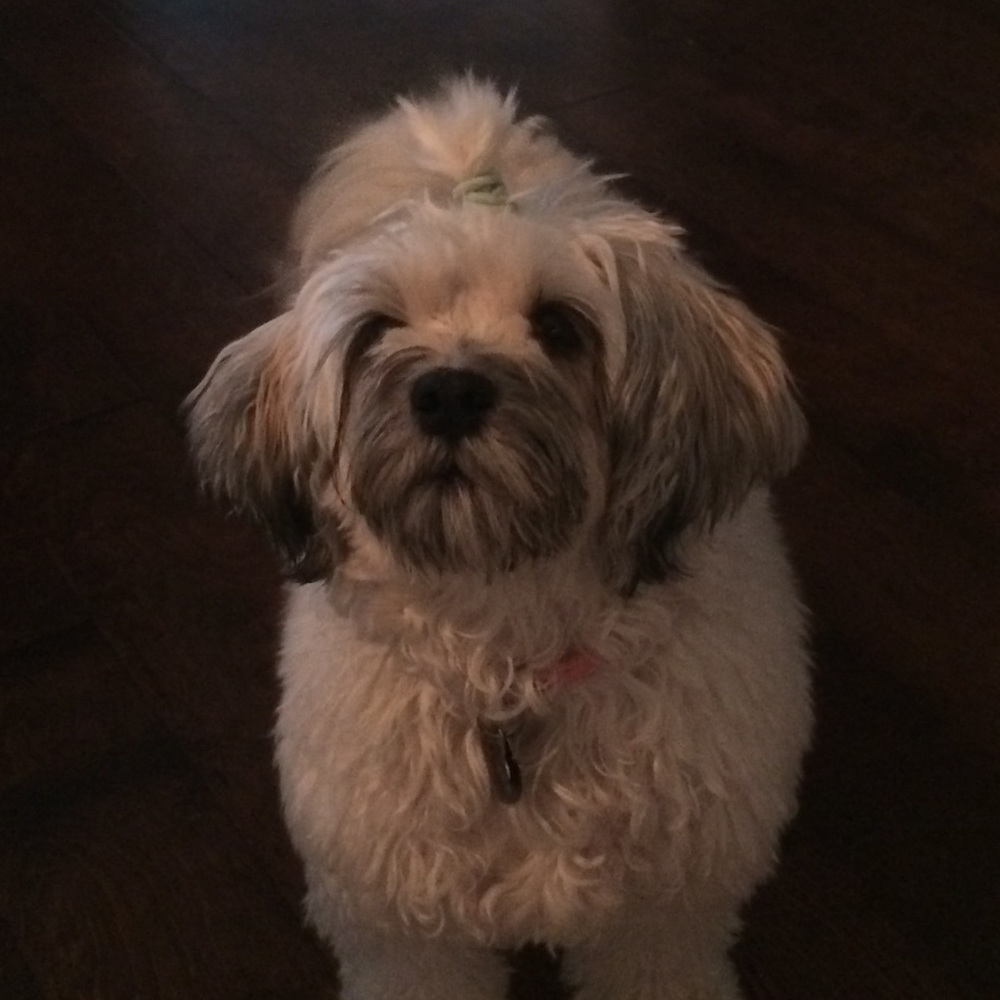 Meet your Posher, Kailee