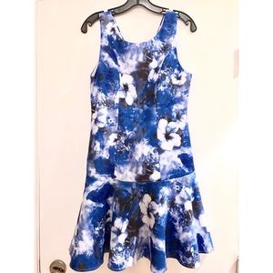 NEW NWT Blue Floral Drop-waist Dress Sz L