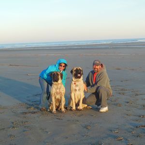 Meet your Posher, Laura b