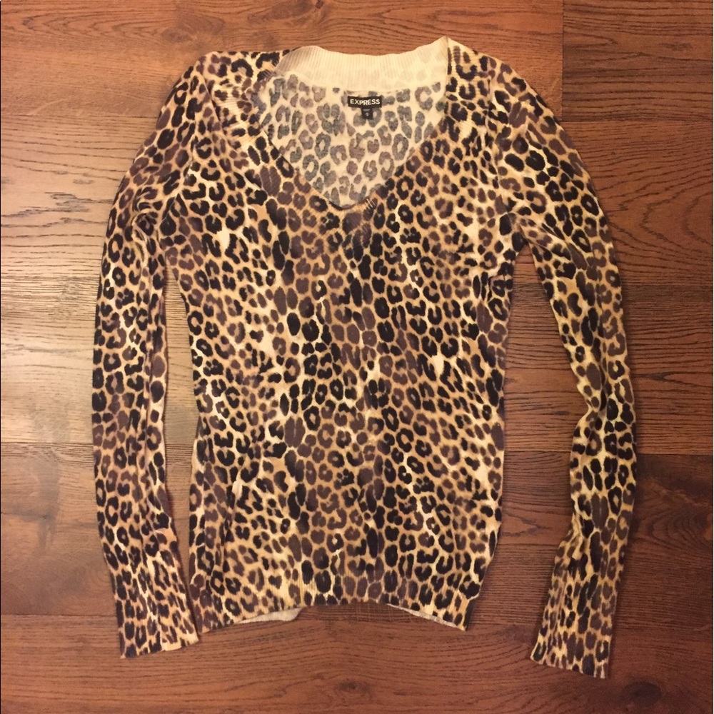 Express Leopard Sweater