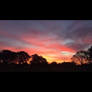 Meet your Posher, Kylie