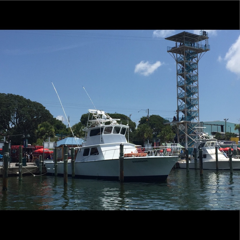 Meet your Posher, Amy