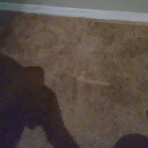 Meet your Posher, Tony