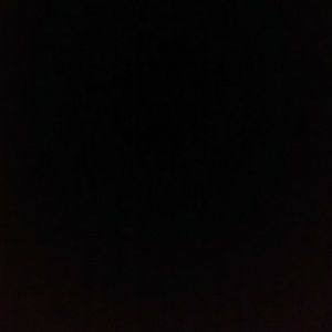 Meet your Posher, Carl