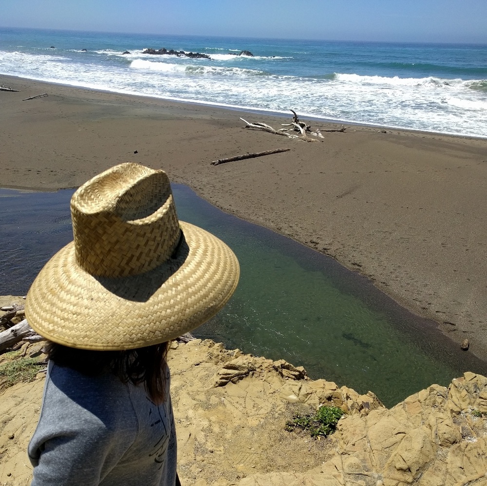 Meet your Posher, Monica