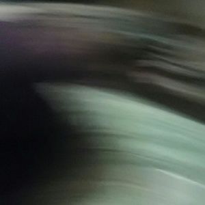 Meet your Posher, Bobbie