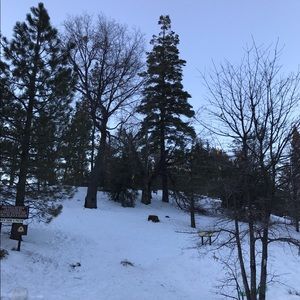 Meet your Posher, Rosa