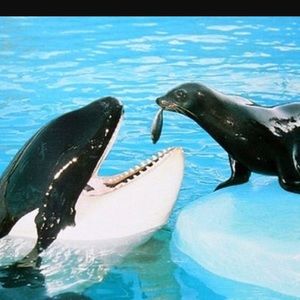 Meet your Posher, Adam