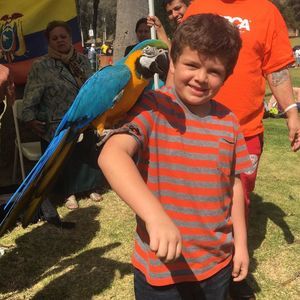 Meet your Posher, Jessie