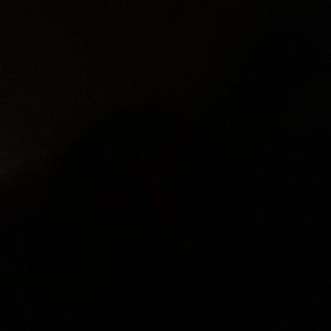 Meet your Posher, Nickolas