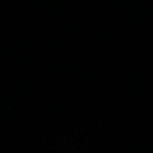 Meet your Posher, Lexi