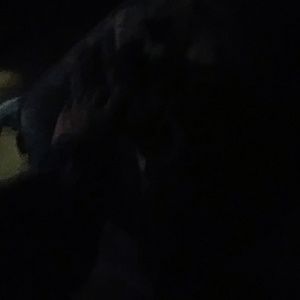 Meet your Posher, Evan