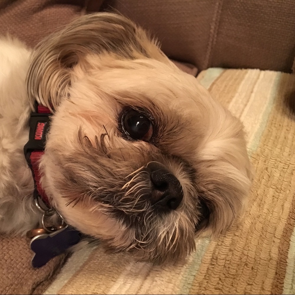 Meet your Posher, Karen