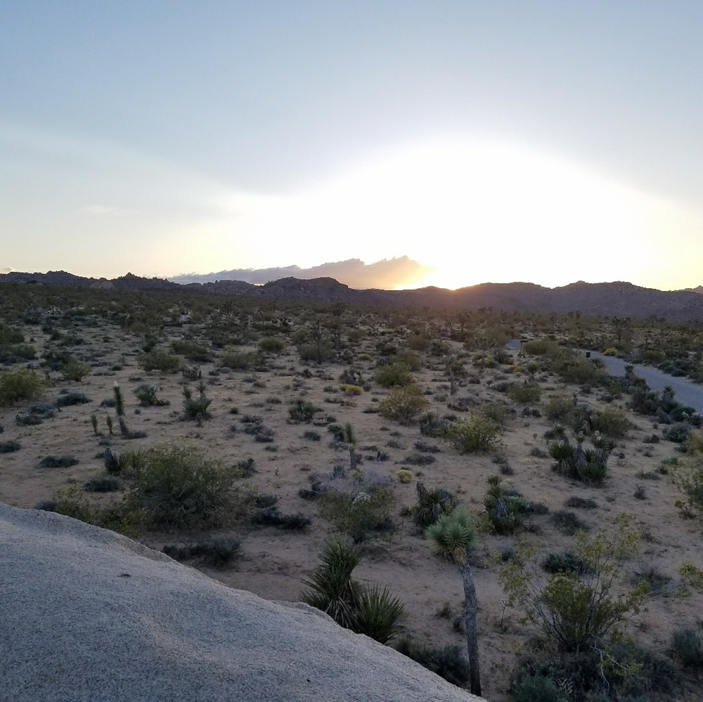 Meet your Posher, Tim