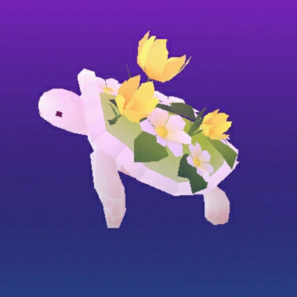 Meet your Posher, Desiree