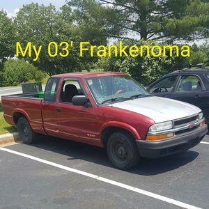 Meet your Posher, Wayne