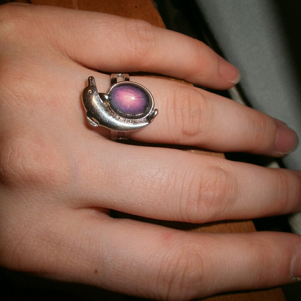 Dolphin Mood ring